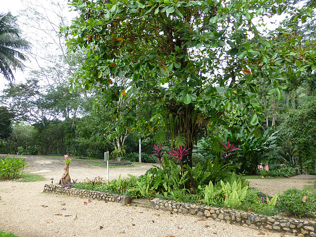 DuPlooy's Botanical Gardens