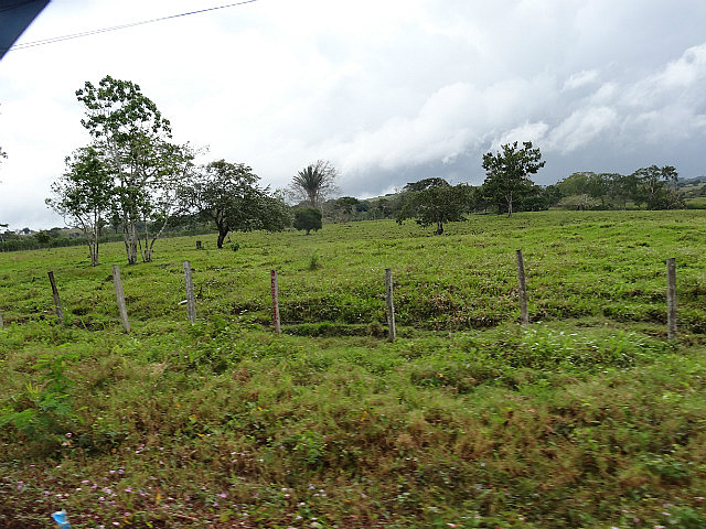 Guatemala's El Peten department