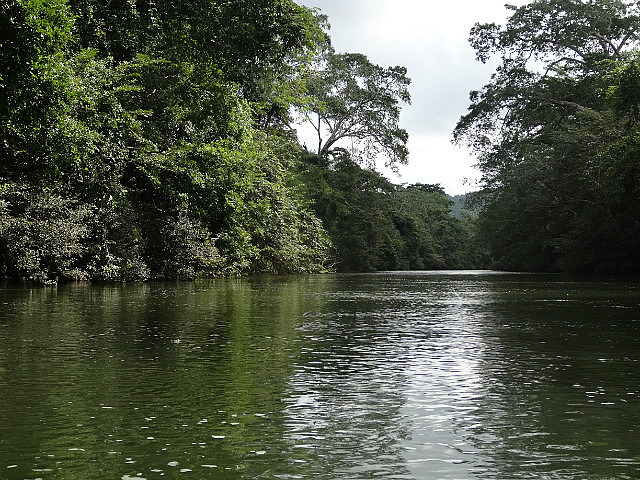 Kayaking down Macal River