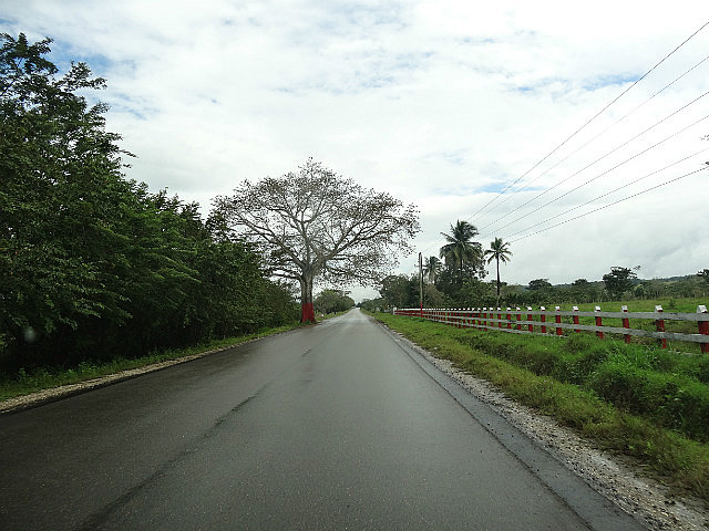 The road to Belize