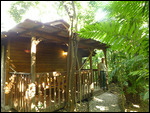 Cabin at D & D Brewery