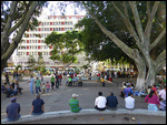 Parque Central on Christmas Day