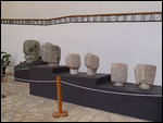 Museum - Ball court Macaws