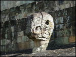 Ball Court - Macaw head