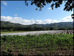 Way to Las Sepulturas (The Tombs)