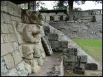 West Court - Dancing Jaguars