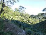 Trailside views
