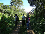 The birding party