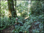 Luis on the trail