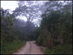 Exiting the Cloud Forest