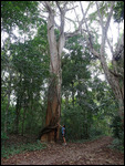 Copan Nature Trail