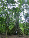 Copan Nature Trail
