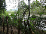 Copan Nature Trail - Rio Copan
