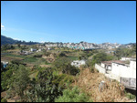 Solola