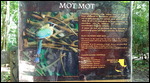 Information sign in the park (Motmot)