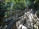 Staircase to Templo IV