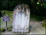 Stelae XVI at Complex N