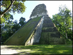 Templo V (recently excavated)