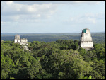 Templos I, II, III viewed from Templo IV