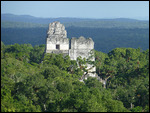 Templos I, II viewed from Templo IV