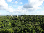 The entire park viewed from Templo IV