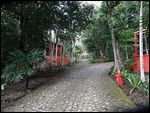 Jungle Lodge, Tikal