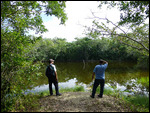 Scanning the pond for birds