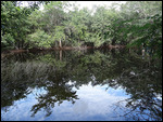 Second pond on the path