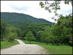 DuPlooy's Botanical Gardens