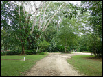 DuPlooy's Botanical Gardens