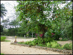 DuPlooy's Botanical Gardens