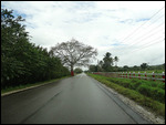 The road to Belize