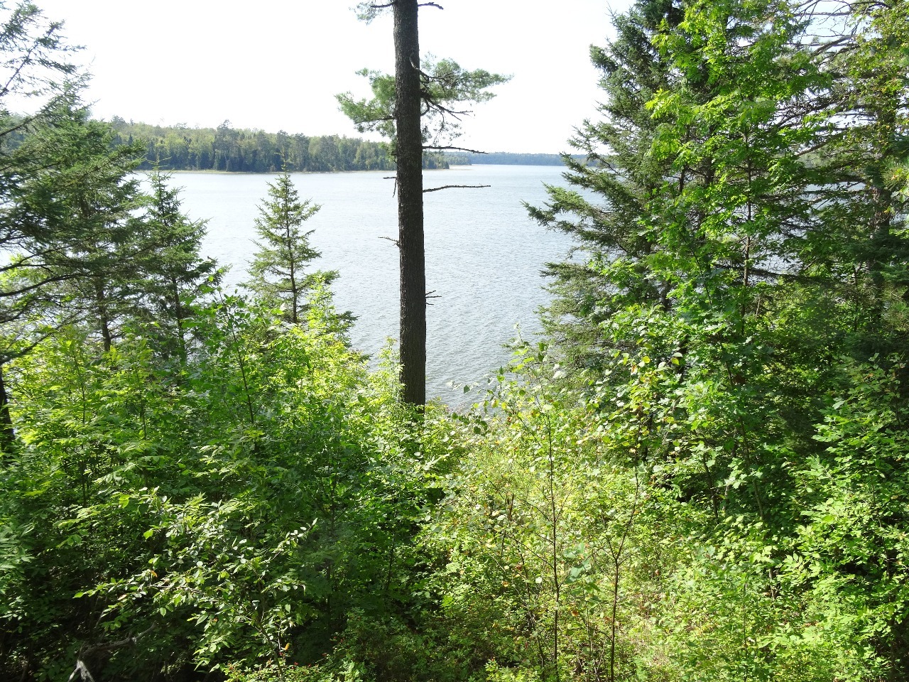 Lake Itasca 