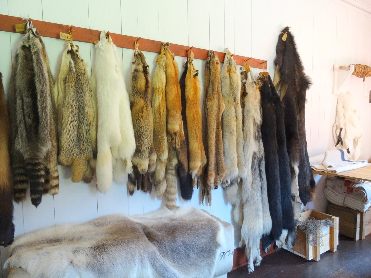 Pelts