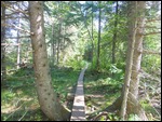 Washington Creek Campground at Windigo