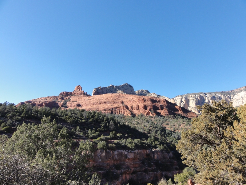 DSC02067.JPG - Sedona is surrounded by Coconino National Forest, which essentially engulfs the city.  The rim serves as the southwestern boundary of the the west Colorado Plateau which extends into five other states and is home to the largest contiguous stand of ponderosa pine trees in the world. 