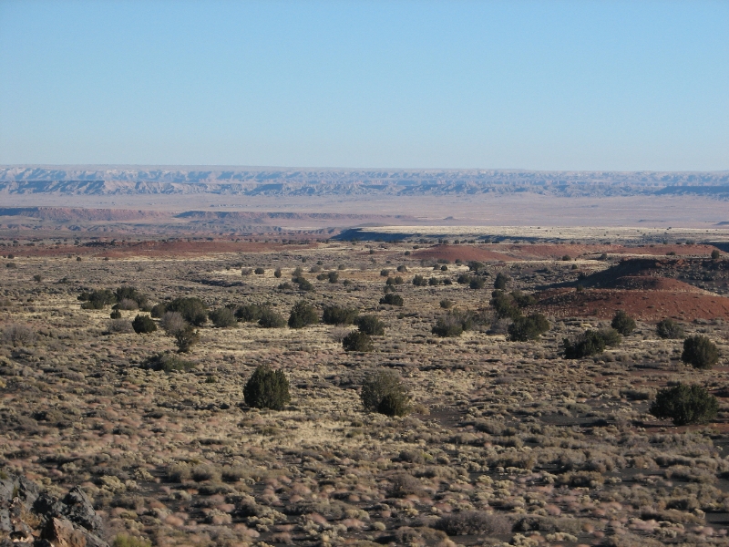 IMG_0844.JPG - The Painted Desert Vista on the Loop Road. Seen here are minor cinder cones, part of the Kana-a Lava Flow