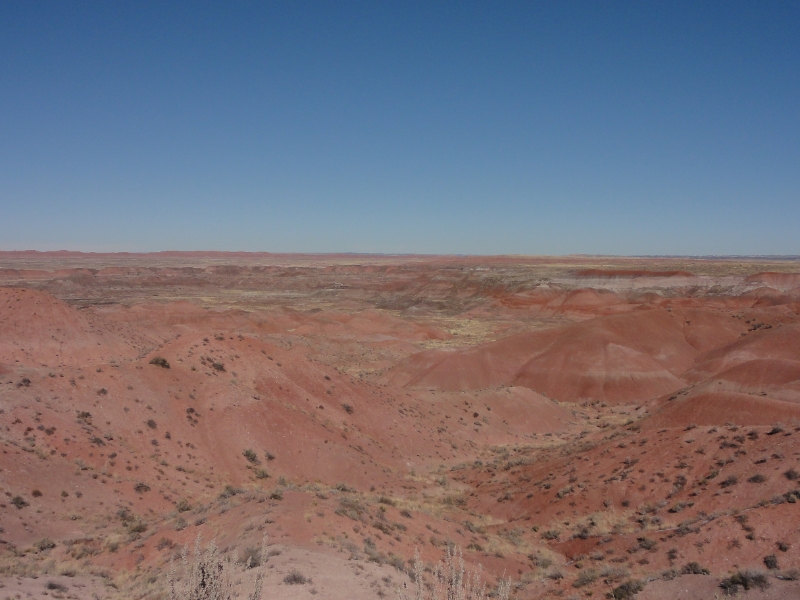 DSC02222.JPG - The colors in the desert result from the minerals in the soil; the characteristic red color is due to iron oxides. Another view from Tiponi Point.