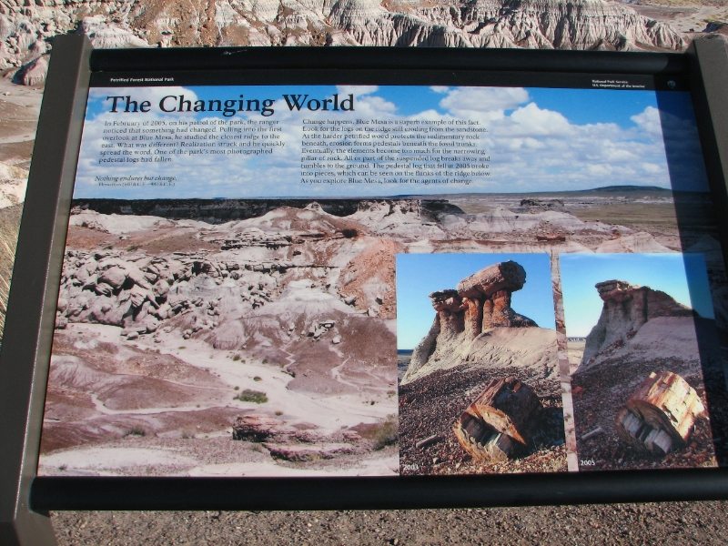 IMG_0970.JPG - One of the most striking areas in the park is the fabulous Blue Mesa in the east central section.It is where some of the most impressive fossils were found and more are being discovered each year as erosion exposes new evidence. Fossils found here show the Forest was once a tropical region, filled with towering trees and long-extinct  creatures. Several different species of fossilized plants, animals and reptiles have been discovered by paleontologists.
