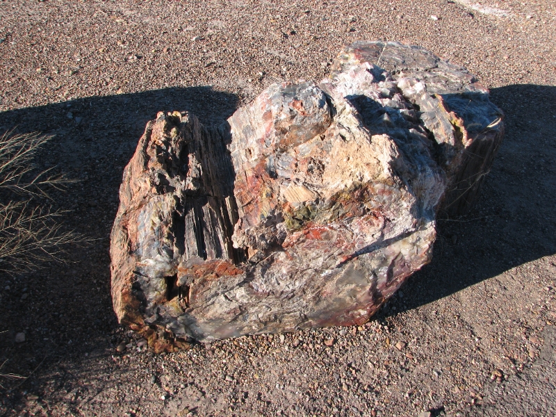 IMG_0994.JPG - Petrified log - Crystal Forest.