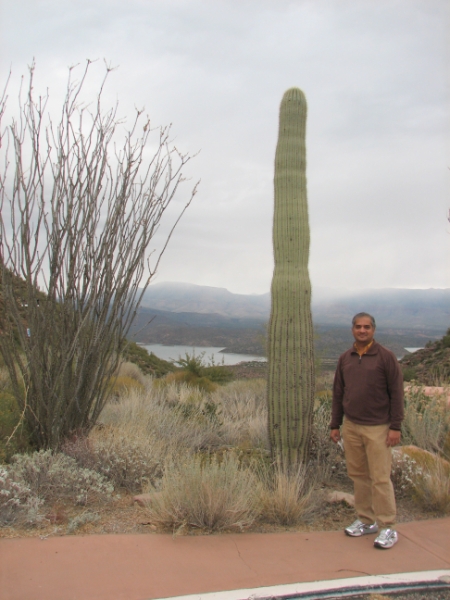 IMG_1016.JPG - A healthy Saguaro at Tonto National Monument