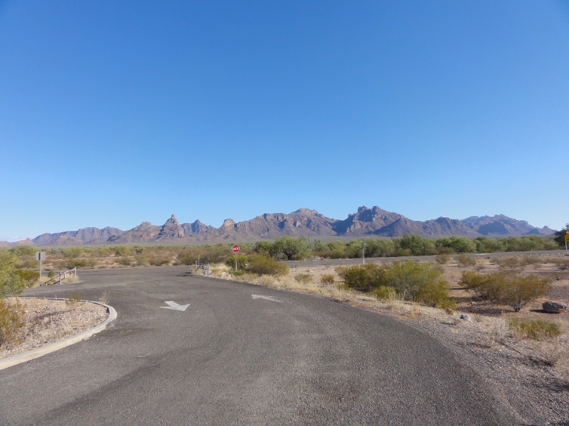 DSC02314.JPG - From Gila Bend on Interstate 8, we drove south on highway 85 toward Organ Pipe Cactus National Monument.