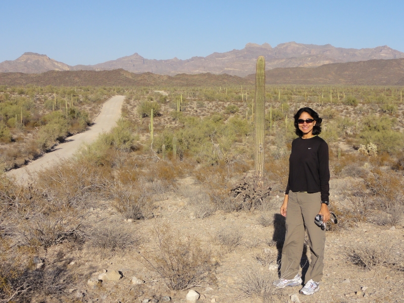 DSC02315.JPG - Taking in the Saguaro landscape