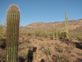 STA_1063