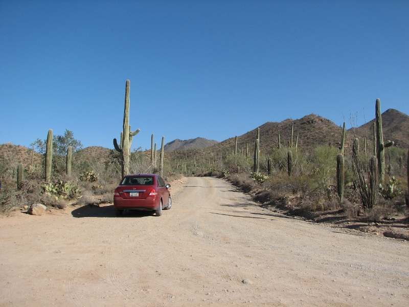 IMG_1164.JPG - On the Scenic Bajada Loop Drive that takes traveses through the park.