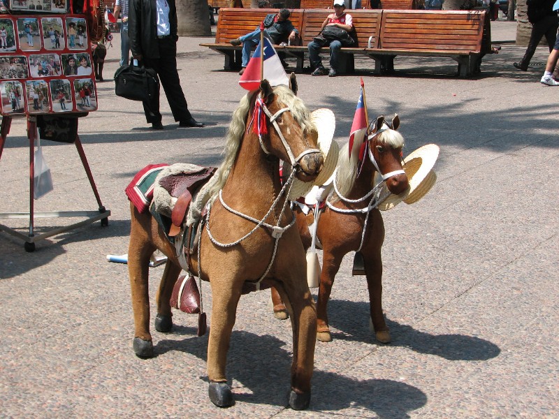 IMG_5261.jpg - Toy miniature horses for sale.