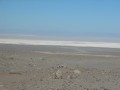 IMG_5457