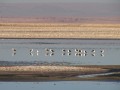 P1080234