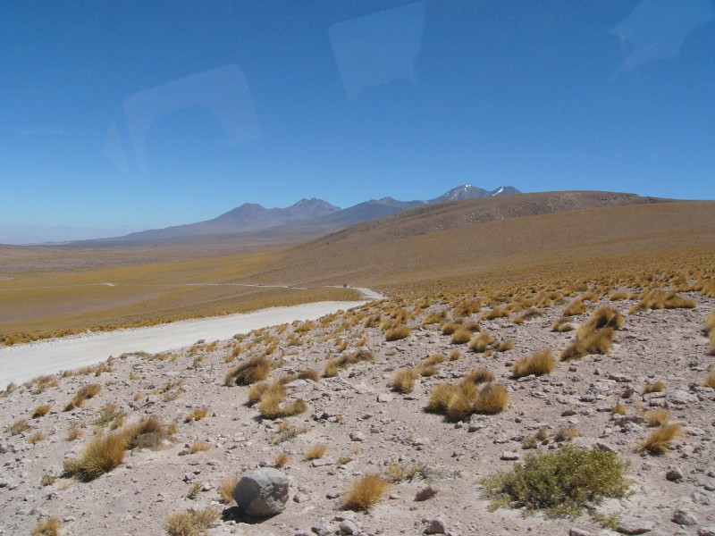 P1080312.JPG - At 15000 feet in the altiplano, the winding road between the lakes and San Pedro.