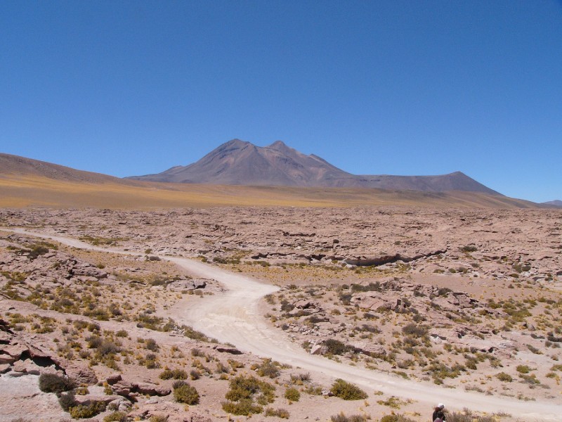P1080313.JPG - Altiplano Road.
